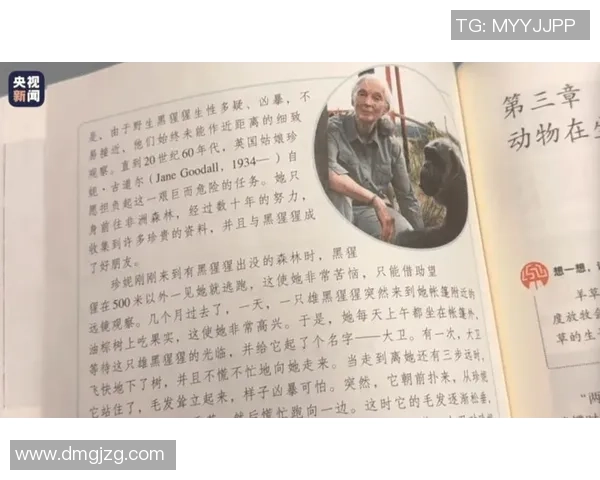 足球界哀悼传奇球星离世追忆他辉煌的职业生涯与感人故事